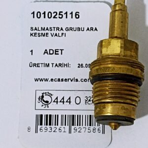 SALMASTRA GR.  101025116